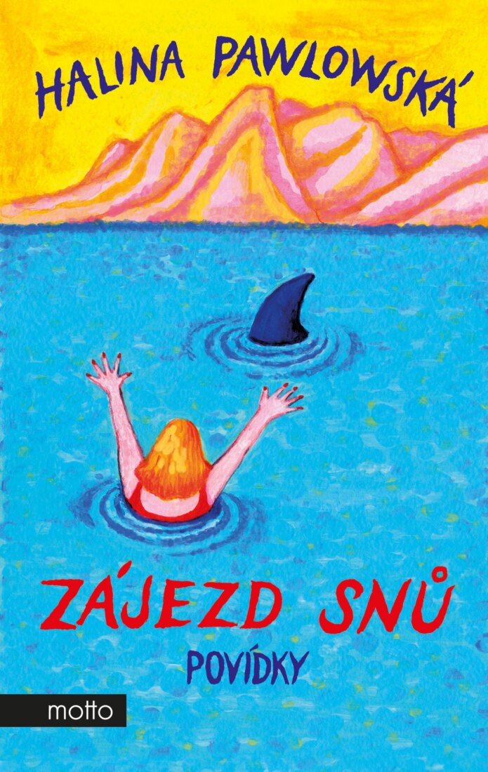 Obálka knihy Zájezd snů