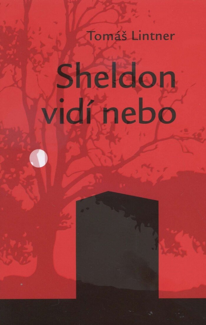 Obálka knihy Sheldon vidí nebo
