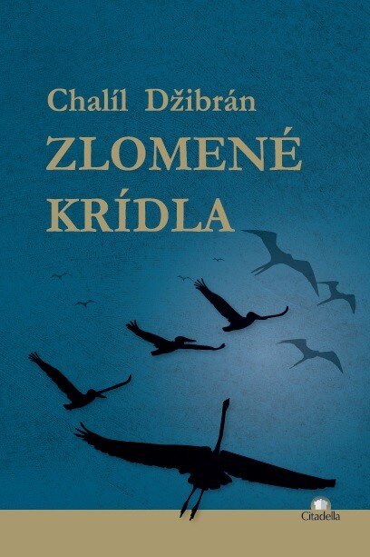 Obálka knihy Zlomené krídla