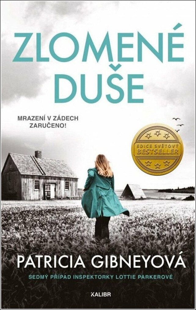Obálka knihy Zlomené duše