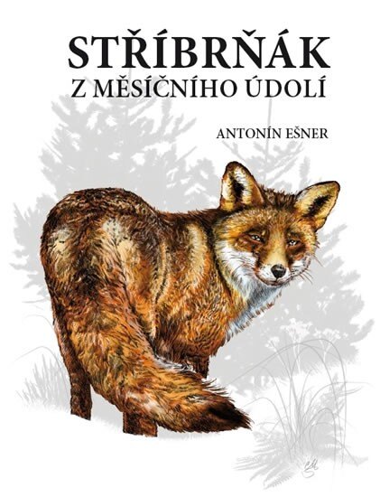 Obálka knihy Stříbrňák z Měsíčního údolí