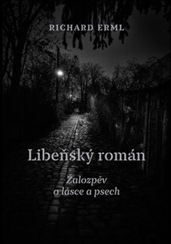 Obálka knihy Libeňský román