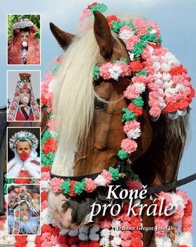 Obálka knihy Koně pro krále