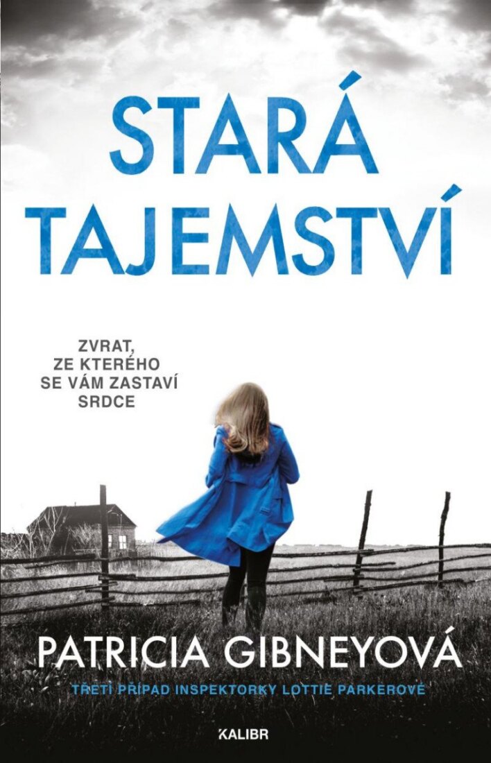 Obálka knihy Stará tajemství