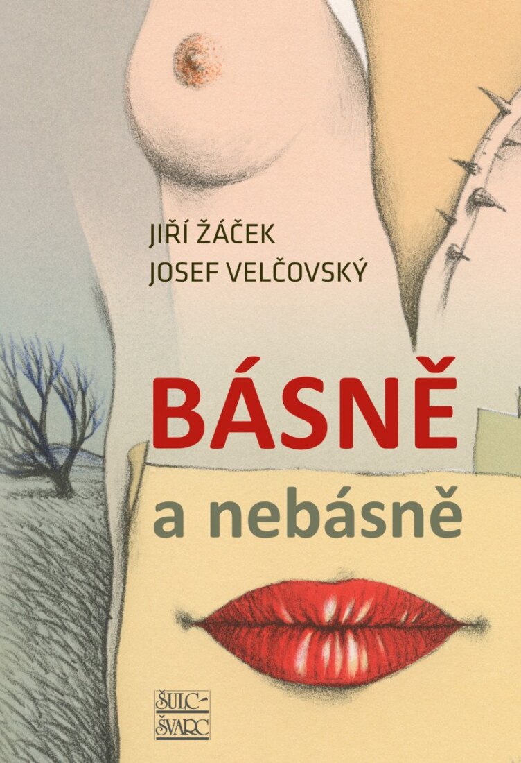 Obálka knihy Básně a nebásně