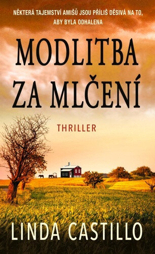 Obálka knihy Modlitba za mlčení