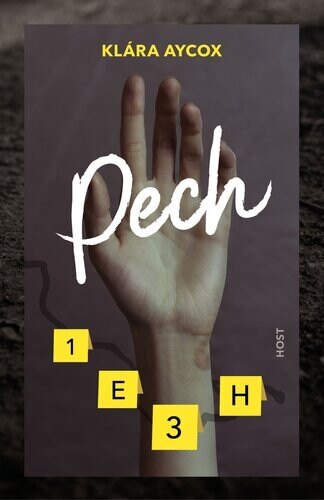 Obálka knihy Pech
