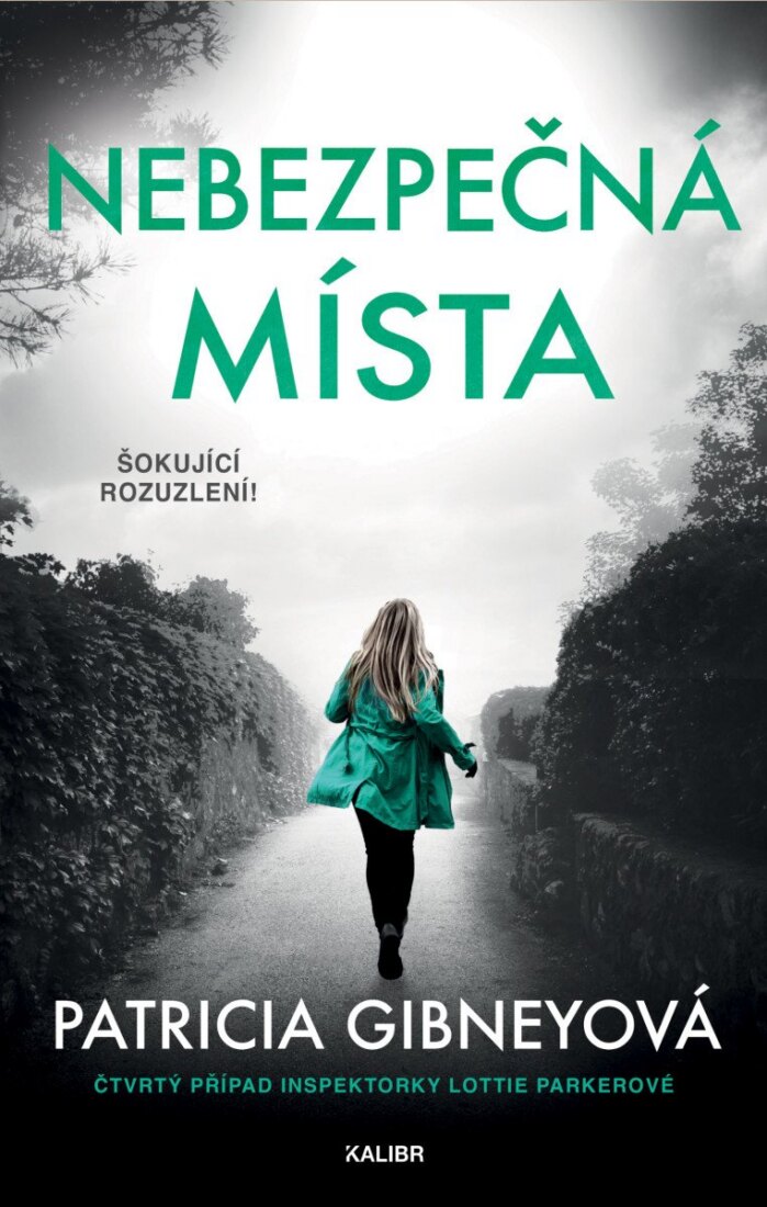 Obálka knihy Nebezpečná místa