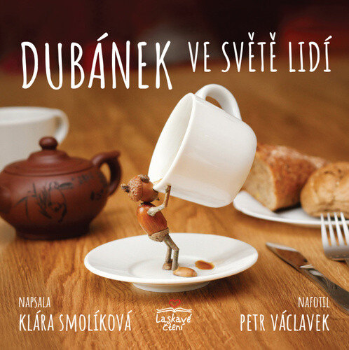 Obálka knihy Dubánek ve světě lidí