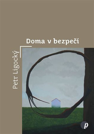 Obálka knihy Doma v bezpečí