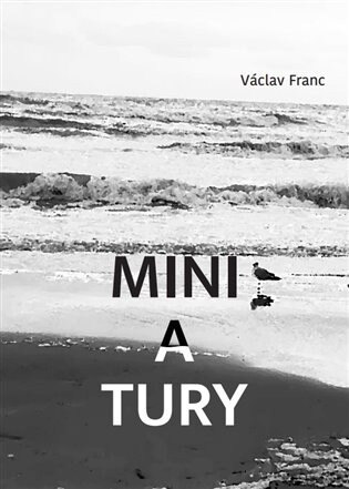 Obálka knihy Miniatury