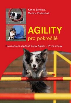 Obálka knihy Agility pro pokročilé