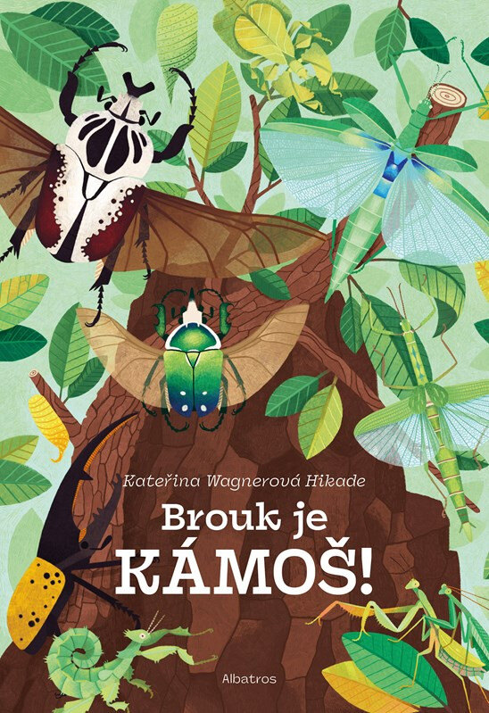 Obálka knihy Brouk je kámoš