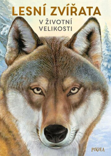 Obálka knihy Lesní zvířata v životní velikosti