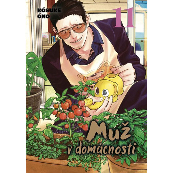 Obálka knihy Muž v domácnosti 11