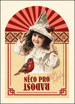 Obálka knihy Něco pro radost