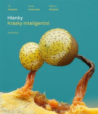 Obálka knihy Hlenky
