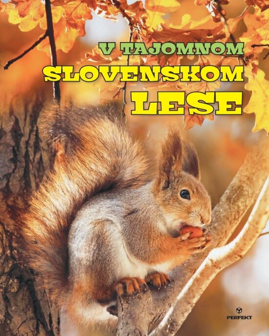 Obálka knihy V tajomnom slovenskom lese