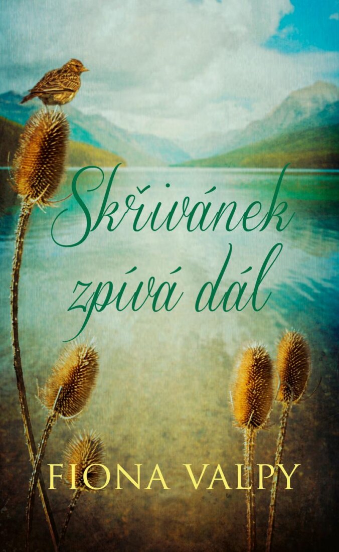Obálka knihy Skřivánek zpívá dál
