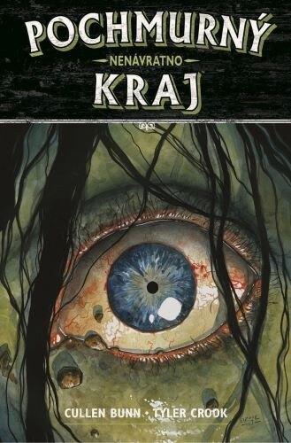 Obálka knihy Pochmurný kraj 8: Nenávratno