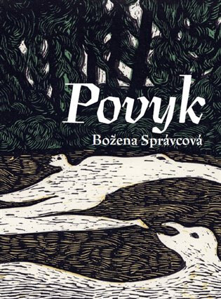 Obálka knihy Povyk