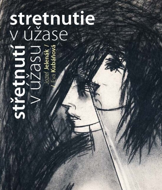Obálka knihy Stretnutie v úžase
