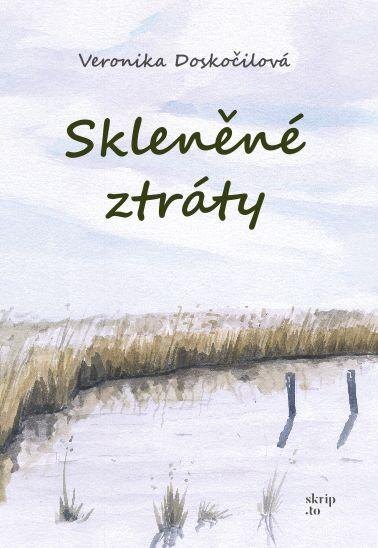 Obálka knihy Skleněné ztráty