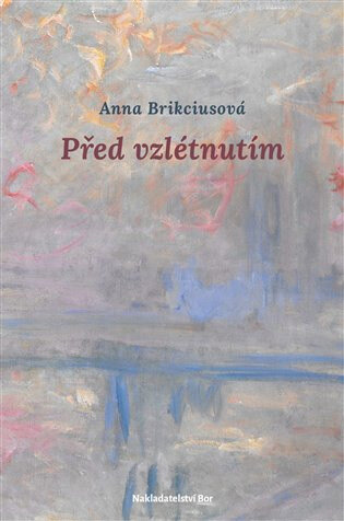 Obálka knihy Před vzlétnutím
