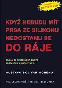 Obálka knihy Když nebudu mít prsa ze silikonu, nedostanu se do ráje