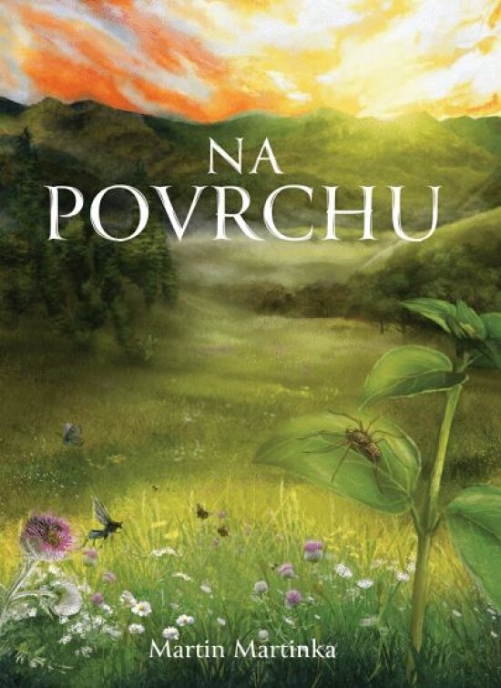 Obálka knihy Na povrchu