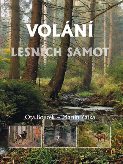 Obálka knihy Volání lesních samot