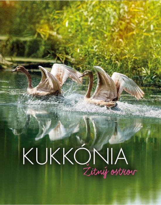 Obálka knihy Kukkónia - Žitný ostrov