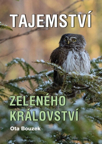 Obálka knihy Tajemství zeleného království