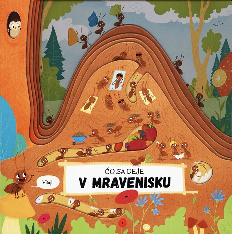 Obálka knihy Čo sa deje v mravenisku