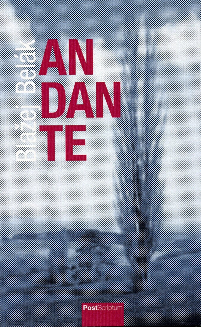 Obálka knihy Andante