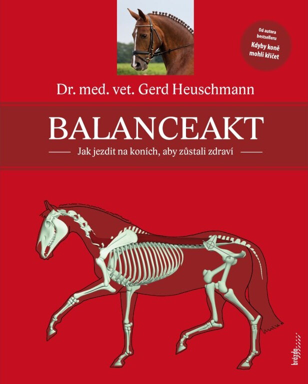Obálka knihy Balanceakt