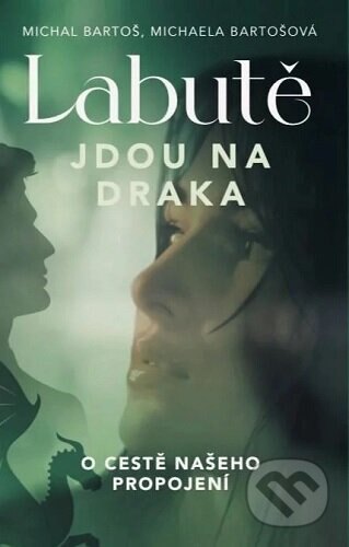 Obálka knihy Labutě jdou na draka