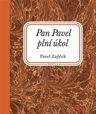 Obálka knihy Pan Pavel plní úkol
