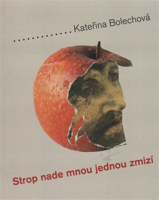 Obálka knihy Strop nade mnou jednou zmizí