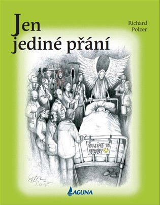 Obálka knihy Jen jediné přání