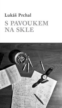 Obálka knihy S pavoukem na skle