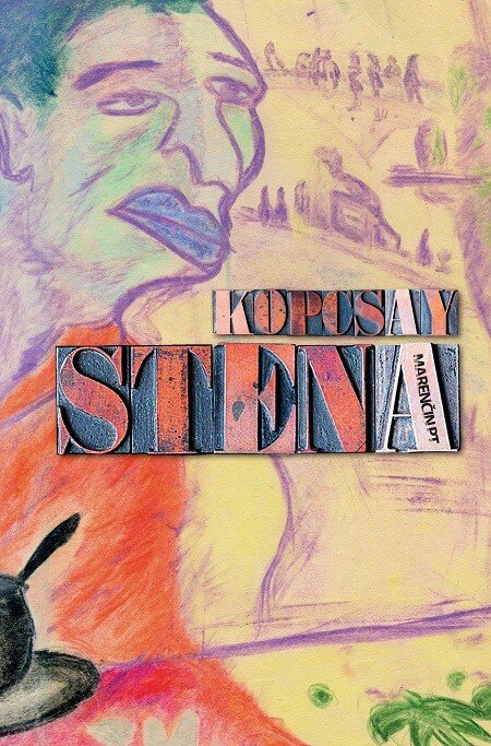 Obálka knihy Stena