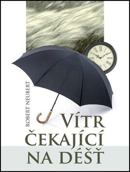 Obálka knihy Vítr čekající na déšť