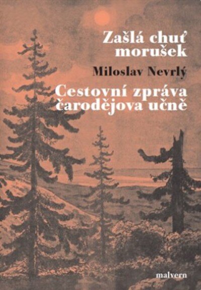 Obálka knihy Zašlá chuť morušek
