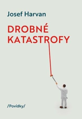 Obálka knihy Drobné katastrofy
