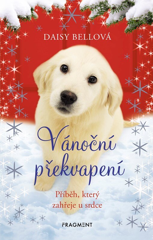 Obálka knihy Vánoční překvapení