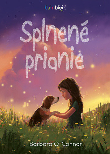 Obálka knihy Splnené prianie