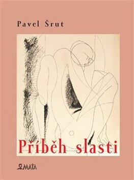 Obálka knihy Příběh slasti