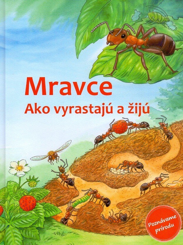Obálka knihy Mravce