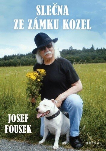 Obálka knihy Slečna ze zámku Kozel